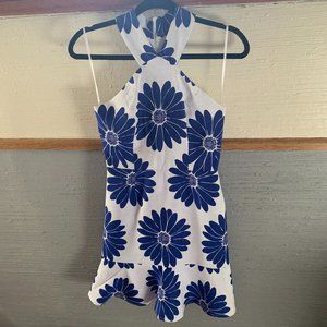 Anthropologie Blue and White Dress